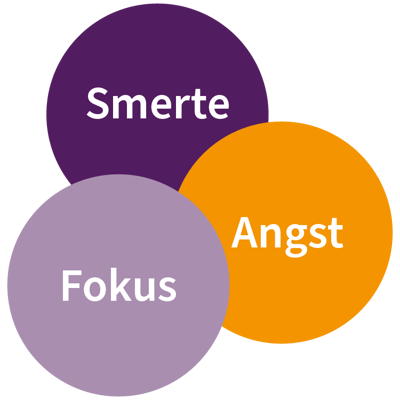 Smerte Fokus Angst Smerte Fokus Angst