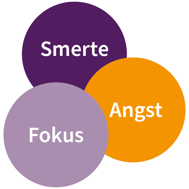 Smerte Fokus Angst Smerte Fokus Angst
