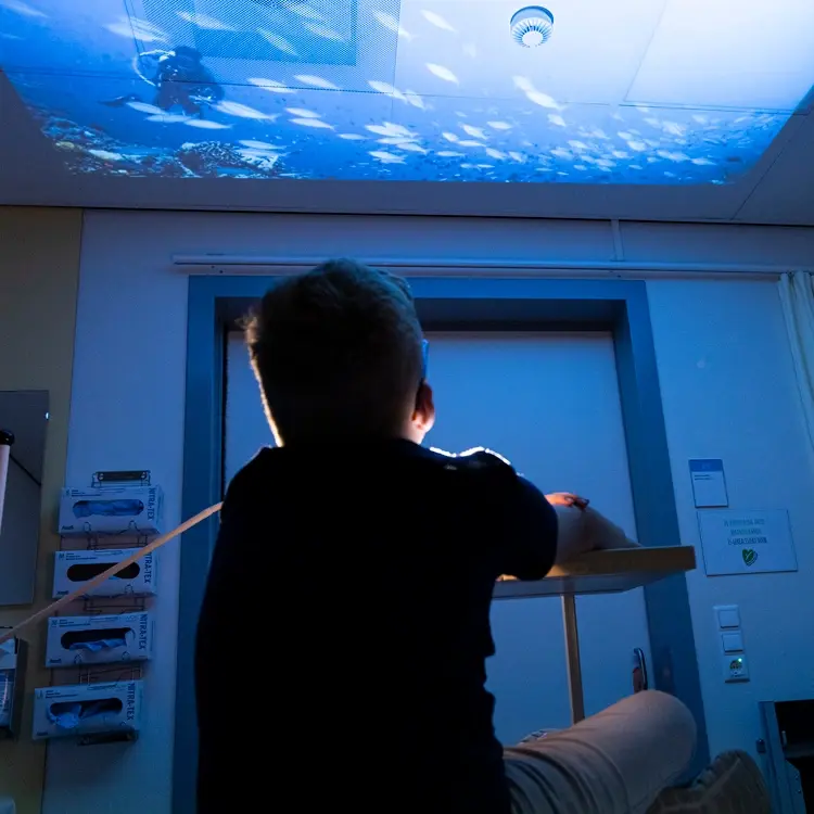 Patiënt in het ziekenhuis kijkt naar een Qwiek.up-projectie van de onderwaterwereld.